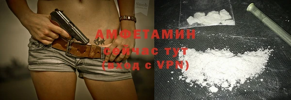молекула духа Балахна