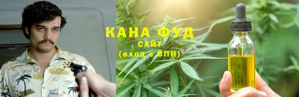 молекула духа Балахна