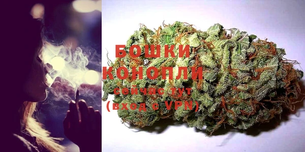молекула духа Балахна