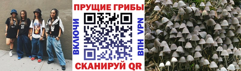 это официальный сайт  цена наркотик  Козельск  Галлюциногенные грибы Cubensis 